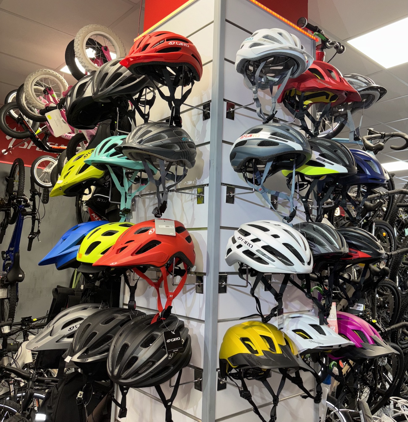 Co oferuje Marex Rowery